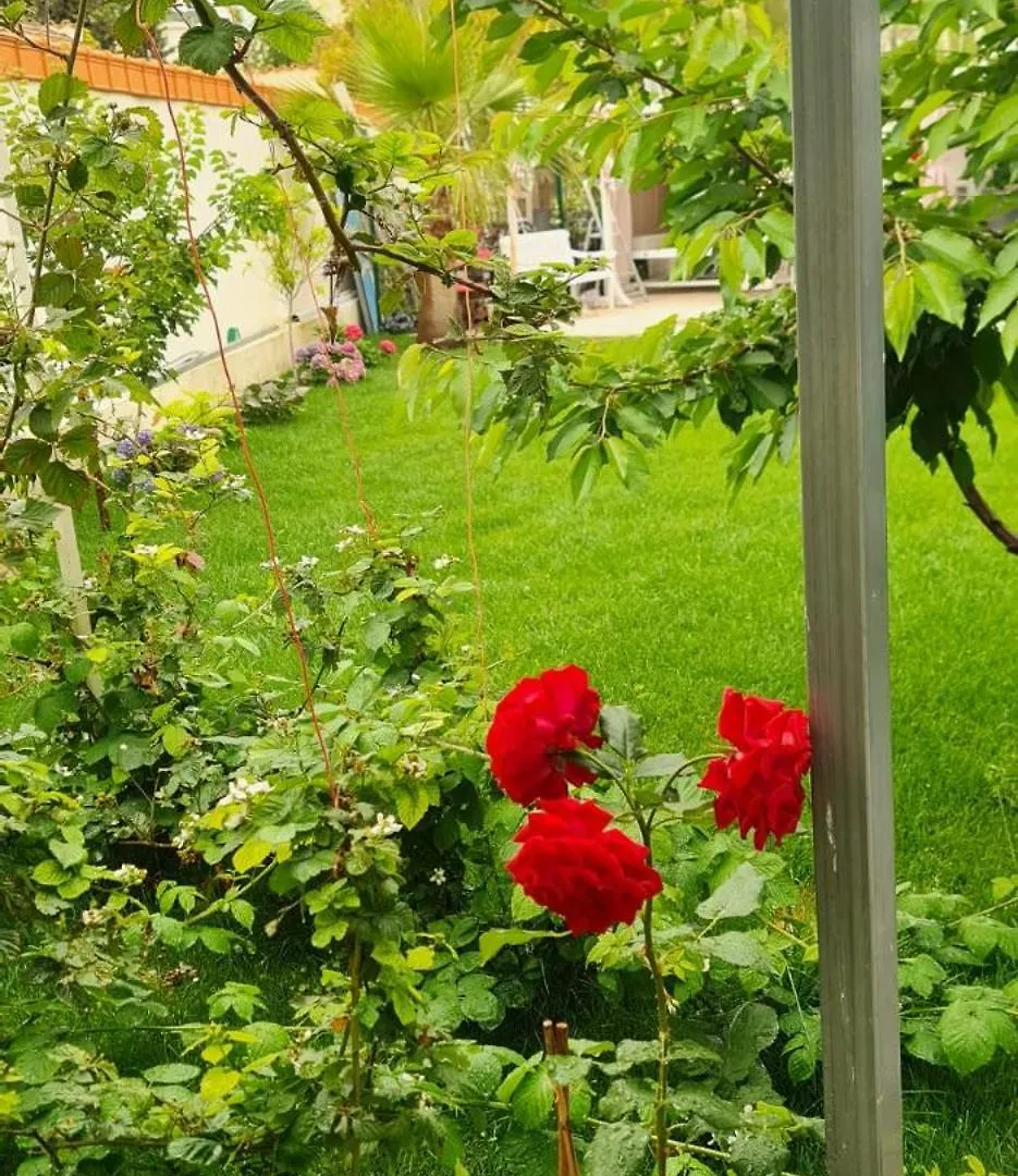 Villa Appartement 3 Chambres, Refait A Neuf, Piscine, Proche Mer Et Gare Cagnes-sur-Mer